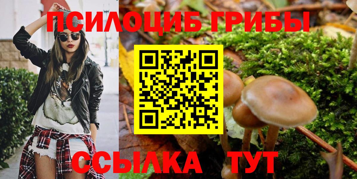 Галлюциногенные грибы мицелий  Вход с VPN  Каспийск  Галлюциногенные грибы ЛСД 